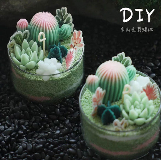 Succulent Candle Workshop: Craft Your Own Miniature Oasis
