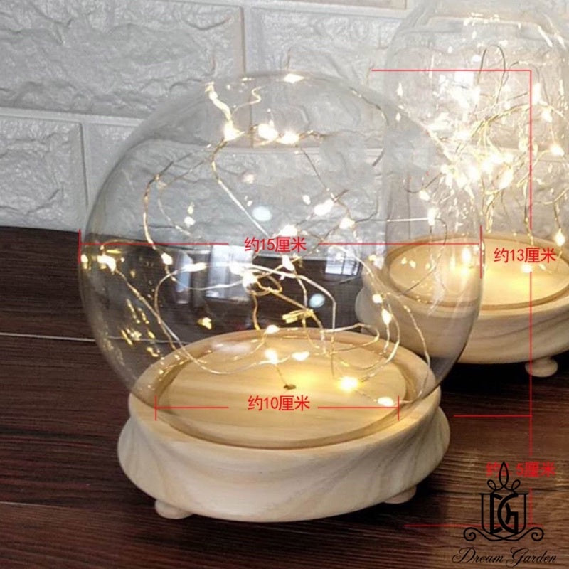Preserved Flower Dome Clear Glass Cloche Display Dome with LED Wooden Base High Quality