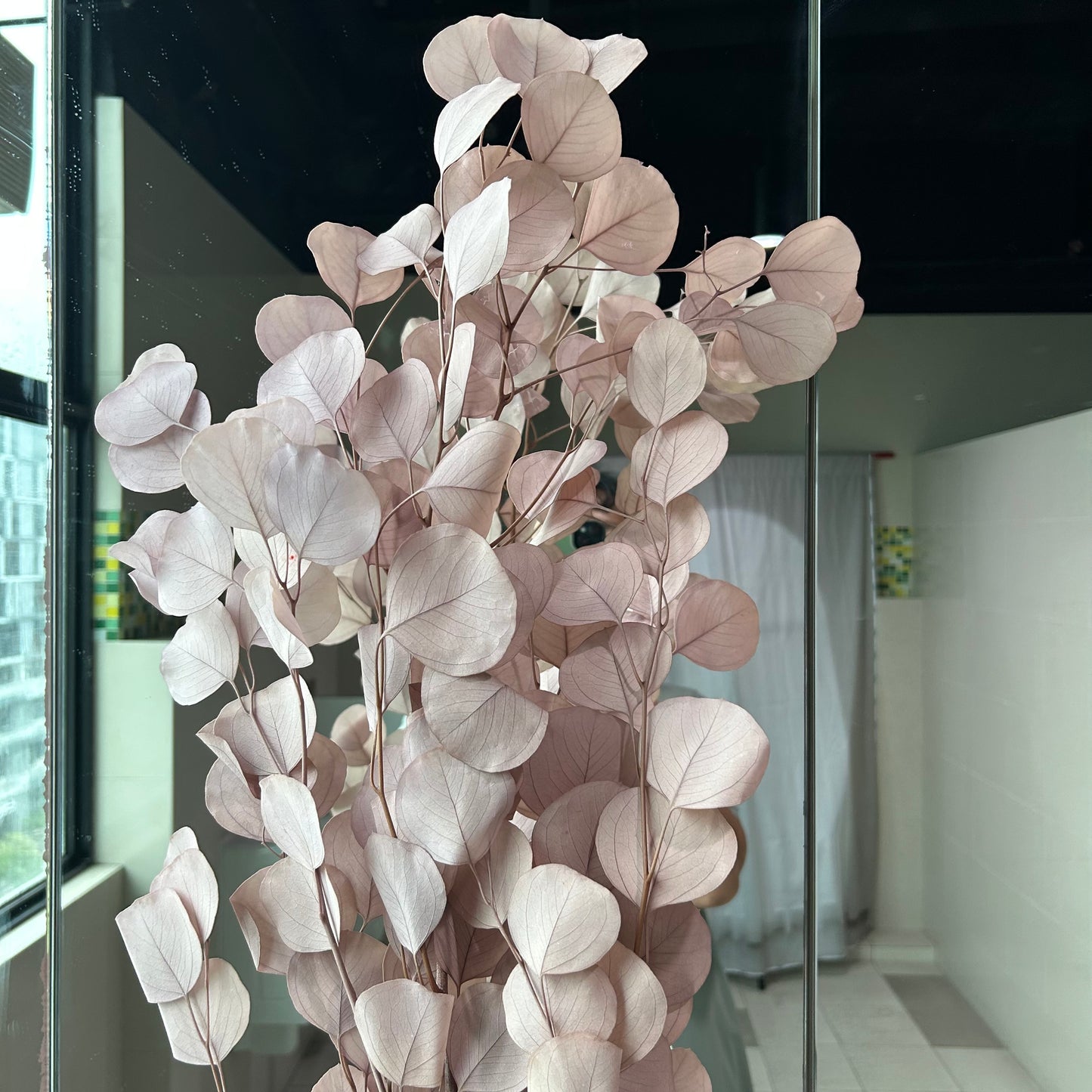 Apple Eucalyptus