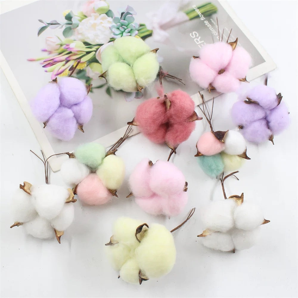 Cotton Flowers