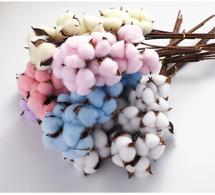 Cotton Flowers