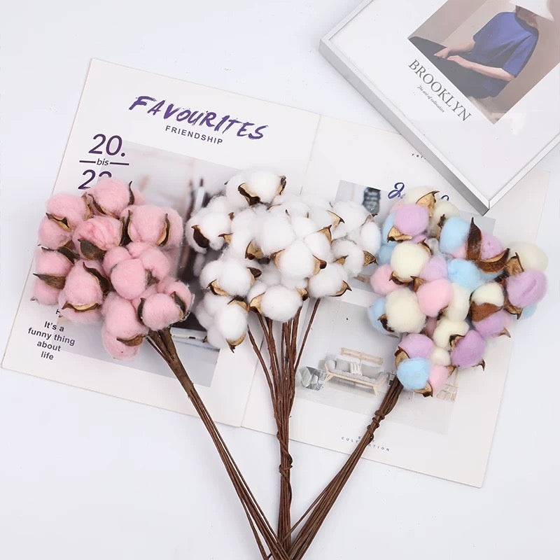 Cotton Flowers