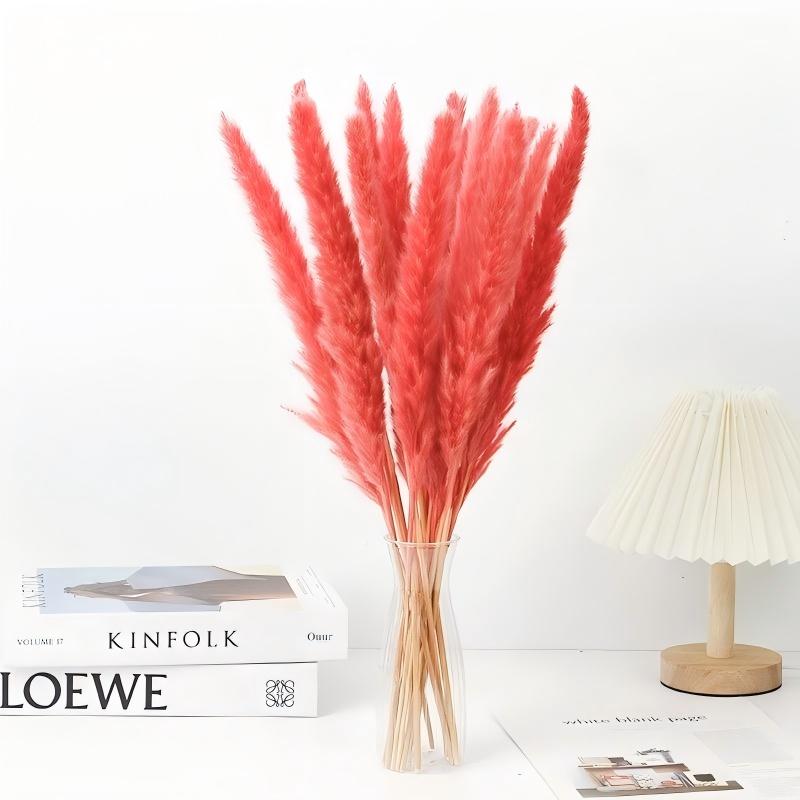 Small Pampas
