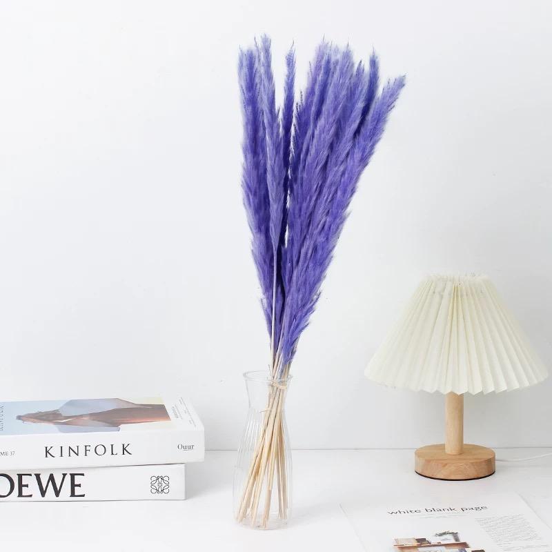 Small Pampas