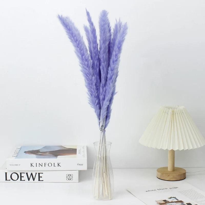 Small Pampas