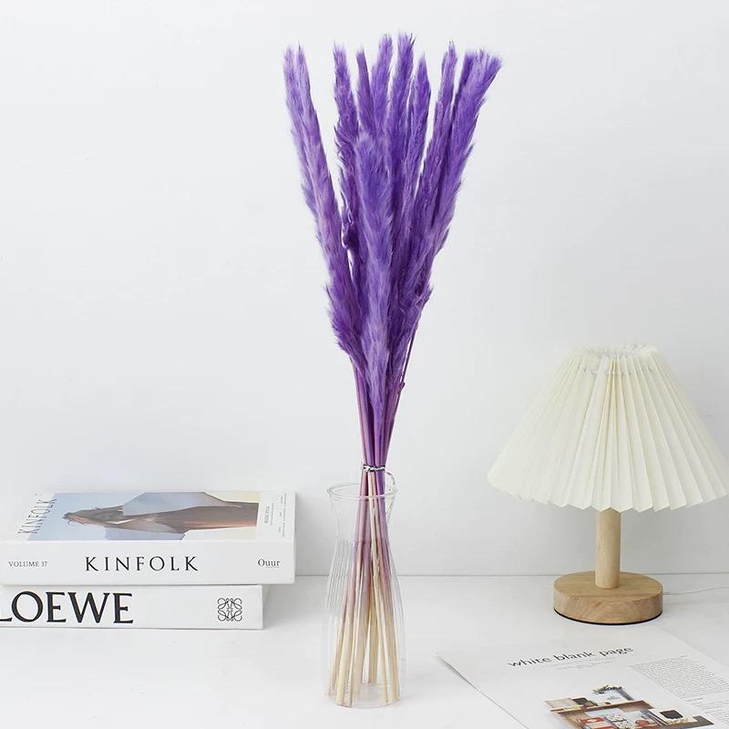 Small Pampas
