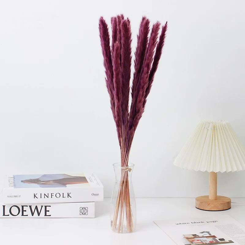 Small Pampas