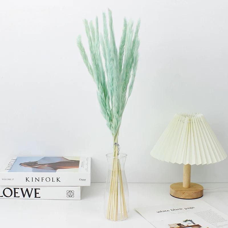 Small Pampas