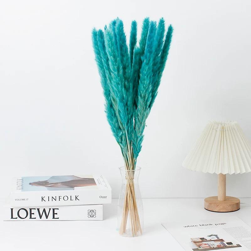 Small Pampas