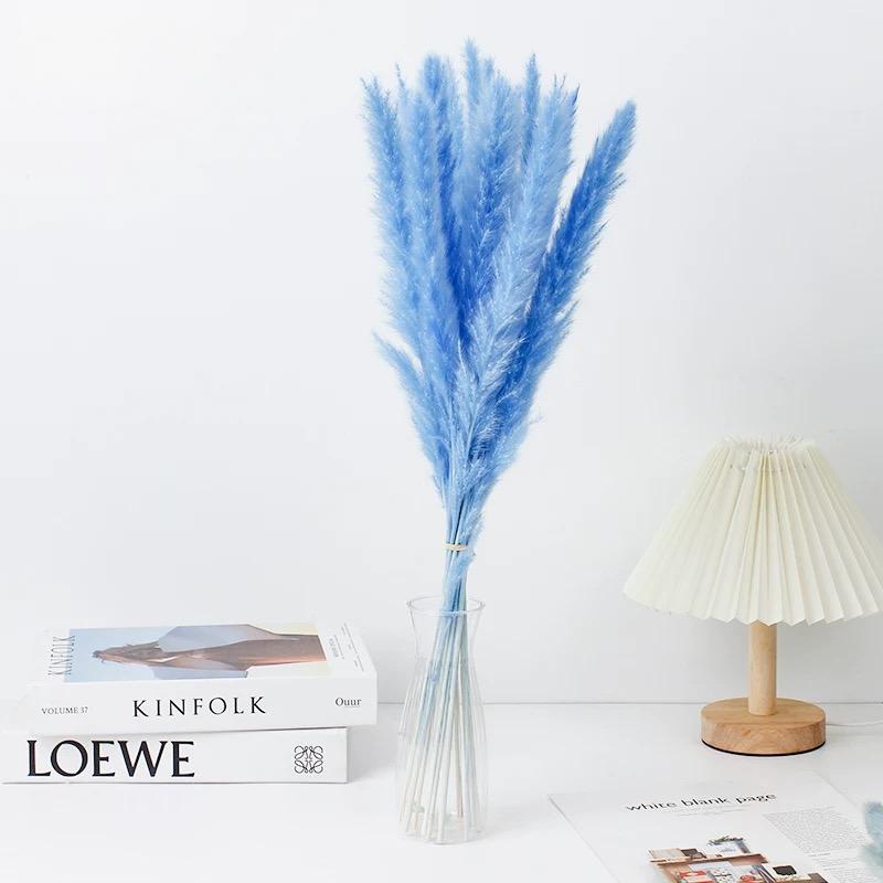 Small Pampas