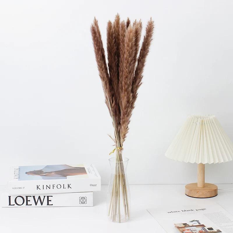 Small Pampas