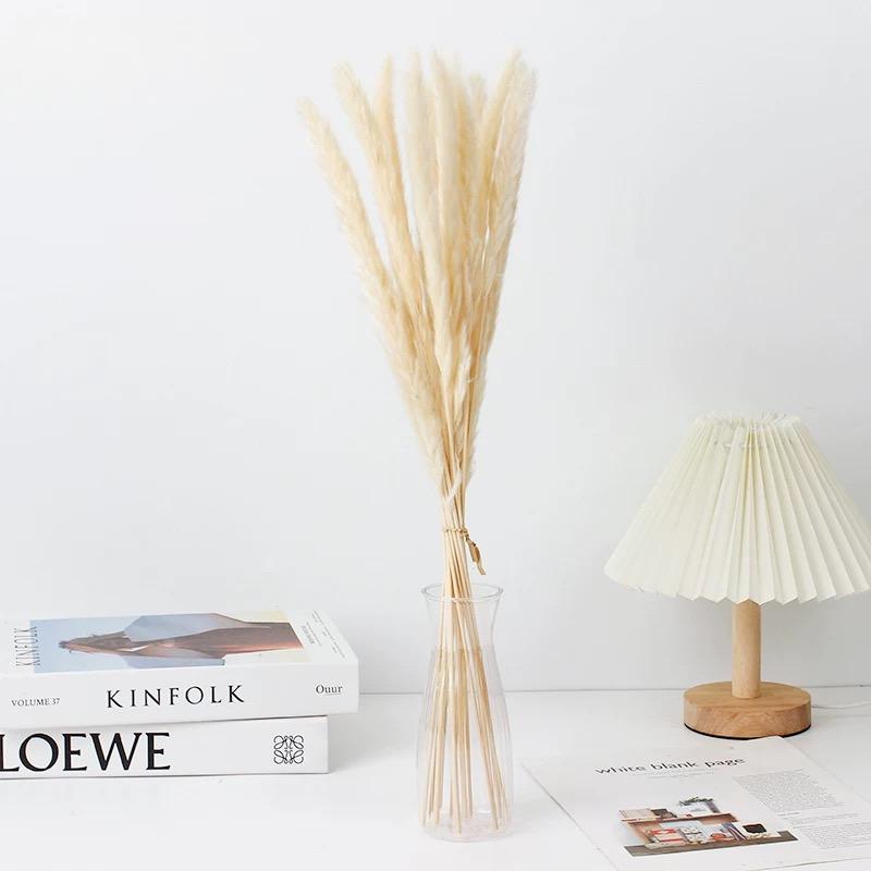 Small Pampas