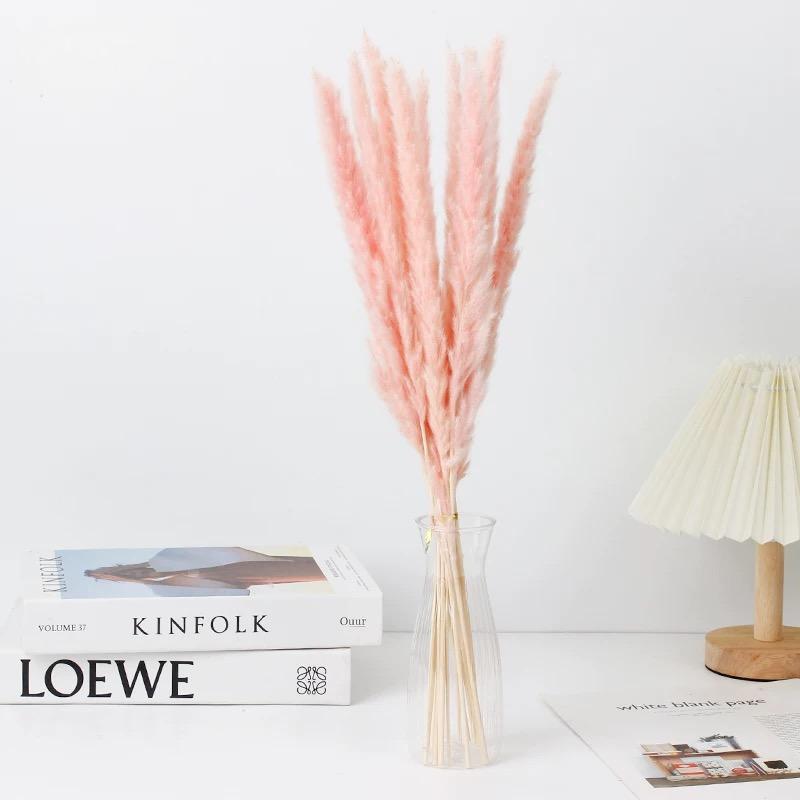 Small Pampas