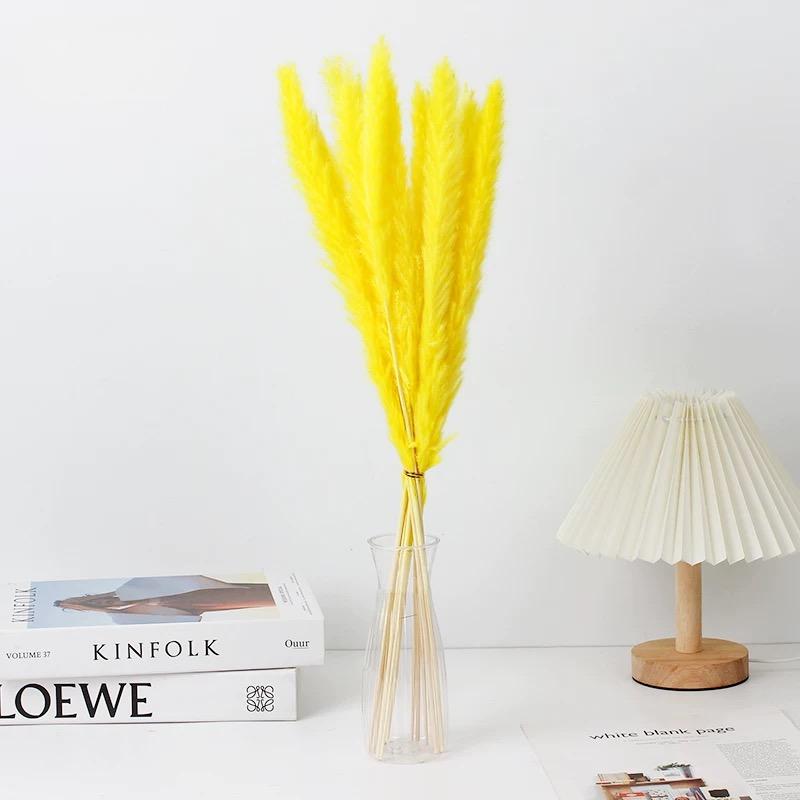 Small Pampas
