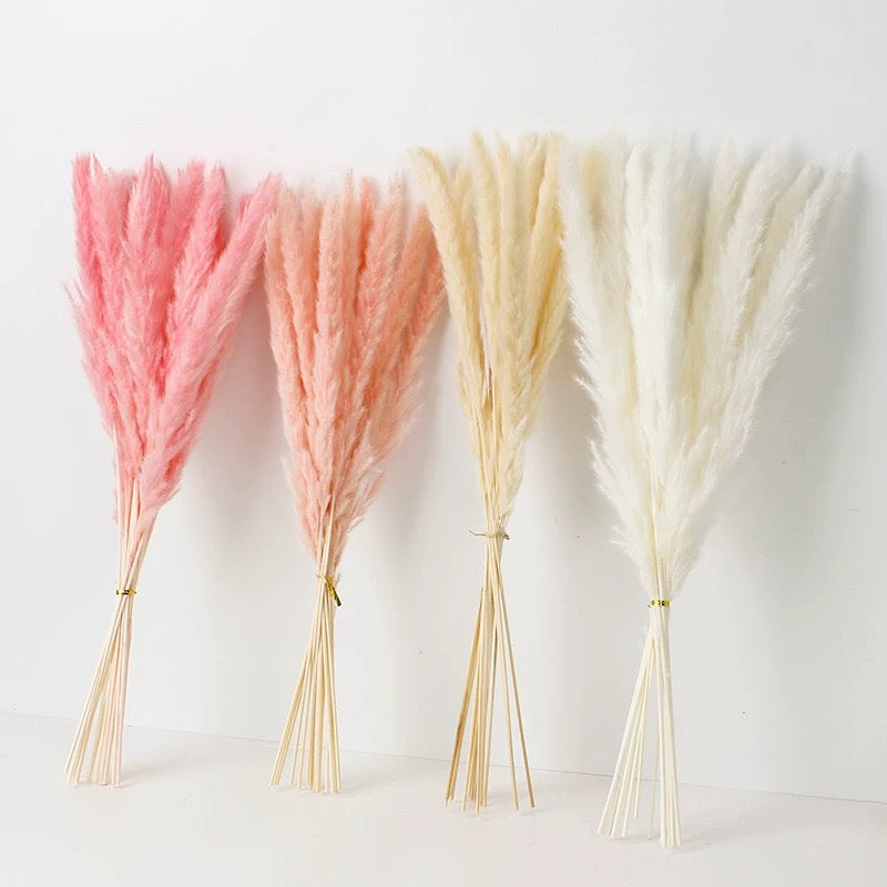 Small Pampas