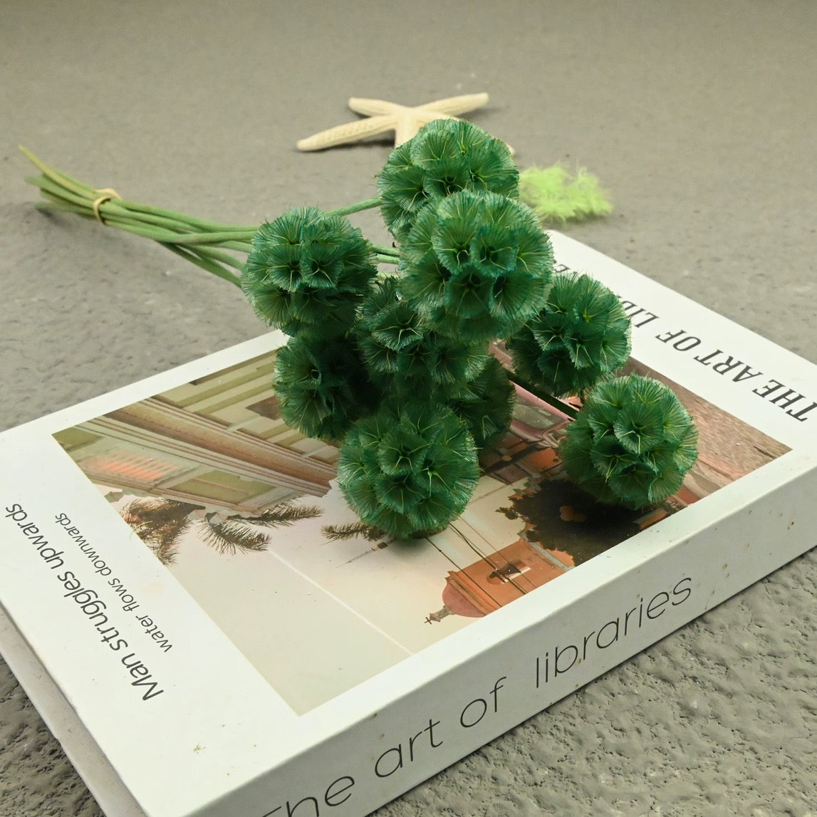 Scabiosa Pods