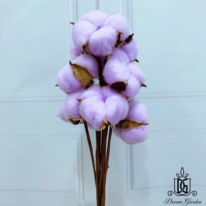 Cotton Flowers