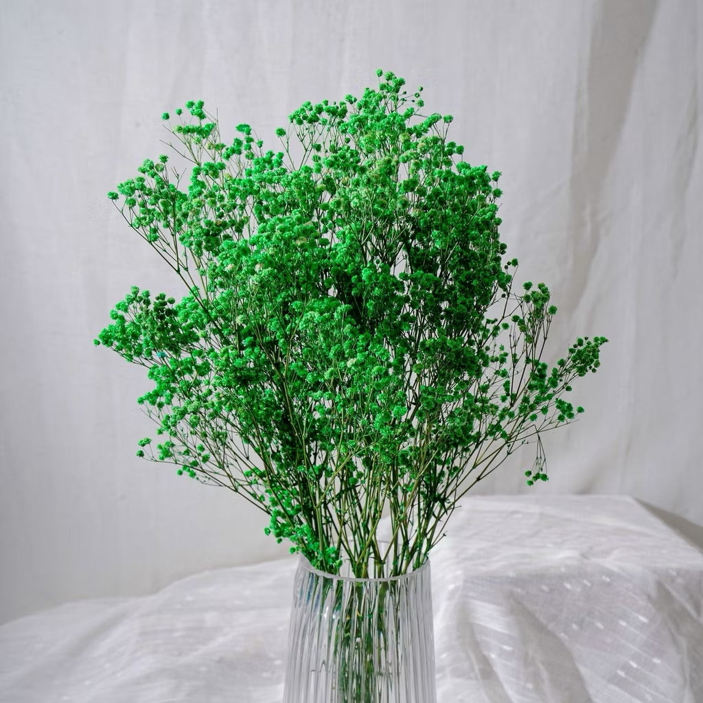 Preserved Flowers Dried Flowers Preserved Babybreath Home Decoration/DIY/Wedding