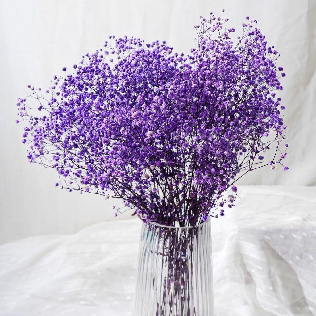 Preserved Flowers Dried Flowers Preserved Babybreath Home Decoration/DIY/Wedding