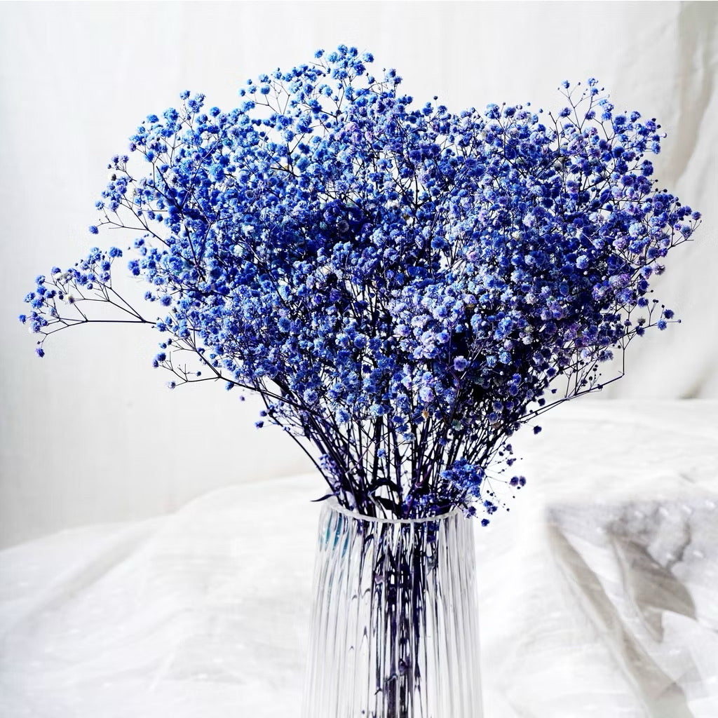 Preserved Flowers Dried Flowers Preserved Babybreath Home Decoration/DIY/Wedding