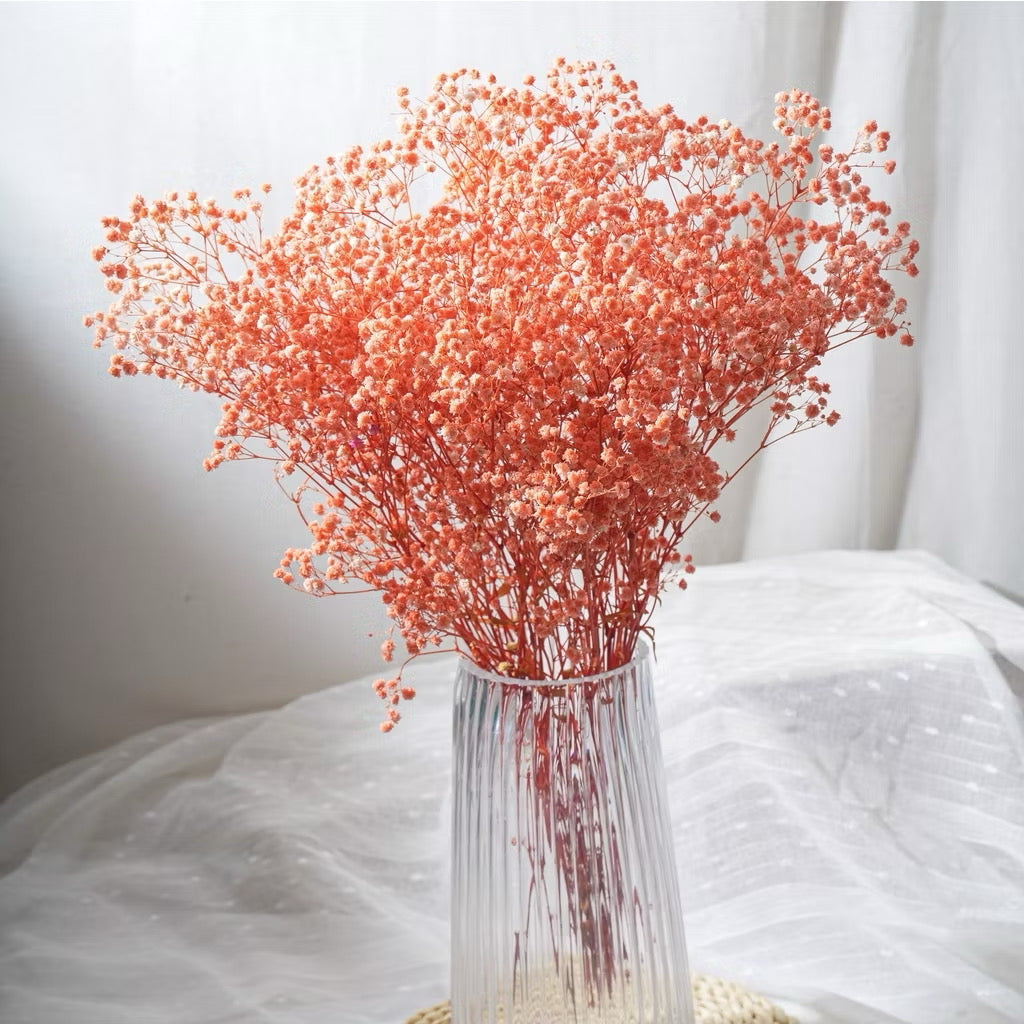 Preserved Flowers Dried Flowers Preserved Babybreath Home Decoration/DIY/Wedding