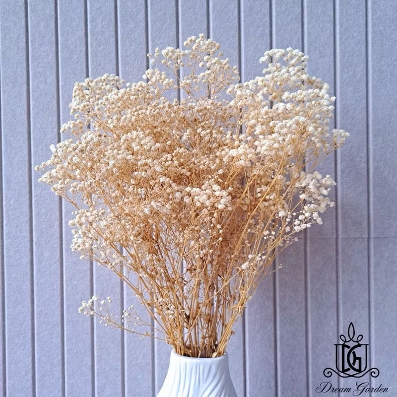 Preserved Flowers Dried Flowers Preserved Babybreath Home Decoration/DIY/Wedding