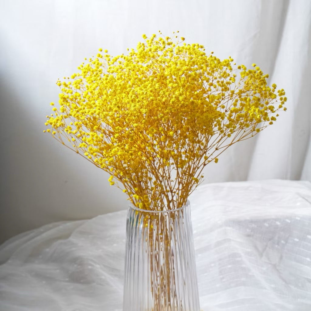 Preserved Flowers Dried Flowers Preserved Babybreath Home Decoration/DIY/Wedding