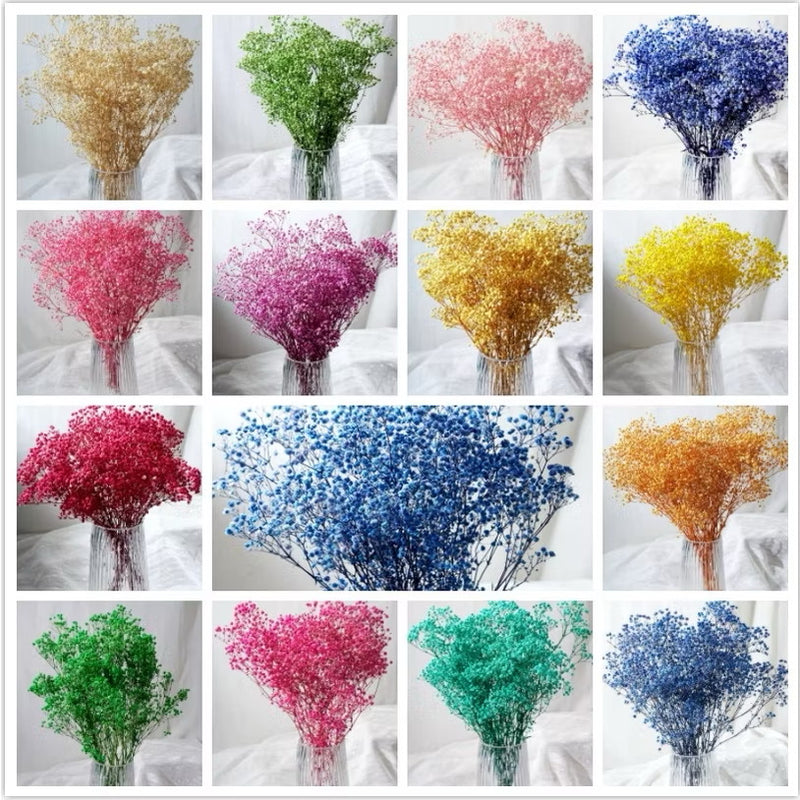 Preserved Flowers Dried Flowers Preserved Babybreath Home Decoration/DIY/Wedding