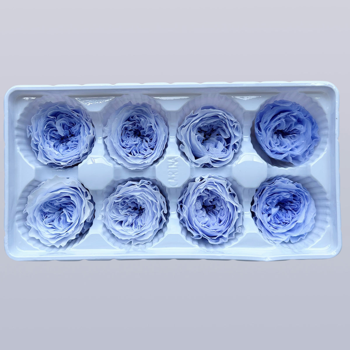 Everlasting Austin Roses™ | Preserved Heirloom Floral Collection