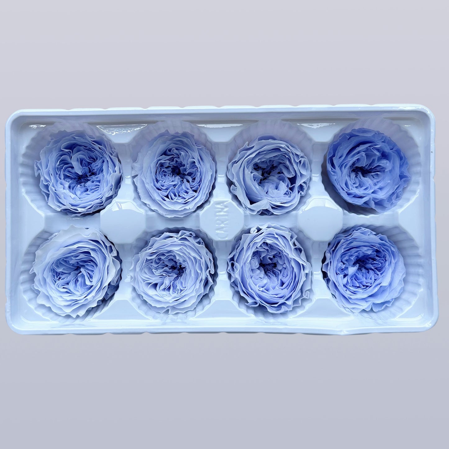 Everlasting Austin Roses™ | Preserved Heirloom Floral Collection