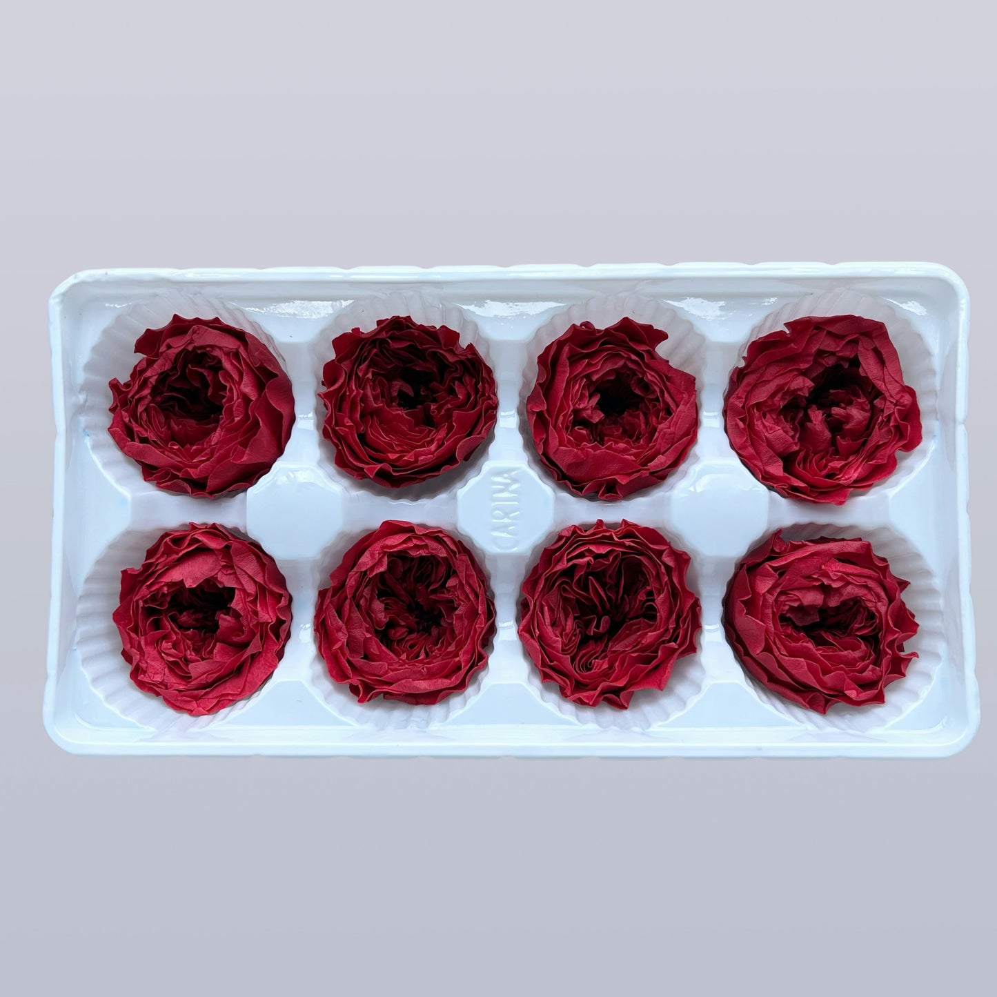 Everlasting Austin Roses™ | Preserved Heirloom Floral Collection