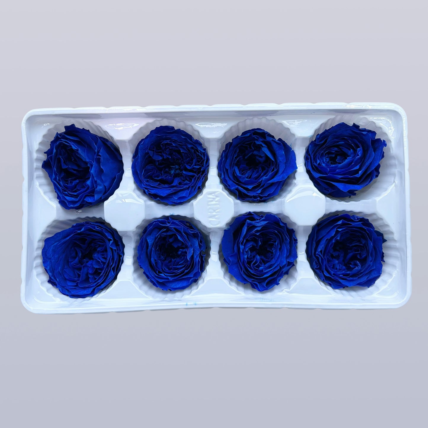 Everlasting Austin Roses™ | Preserved Heirloom Floral Collection