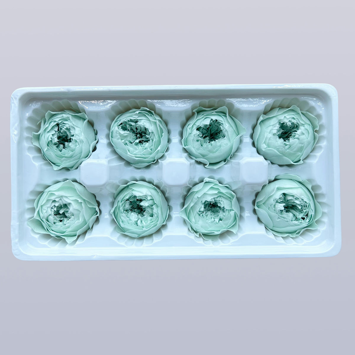 Everlasting Austin Roses™ | Preserved Heirloom Floral Collection