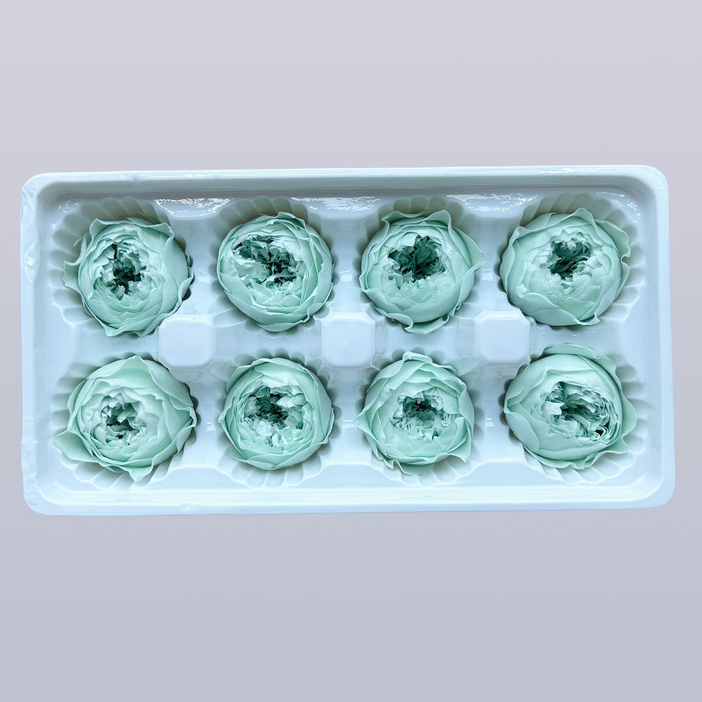 Everlasting Austin Roses™ | Preserved Heirloom Floral Collection