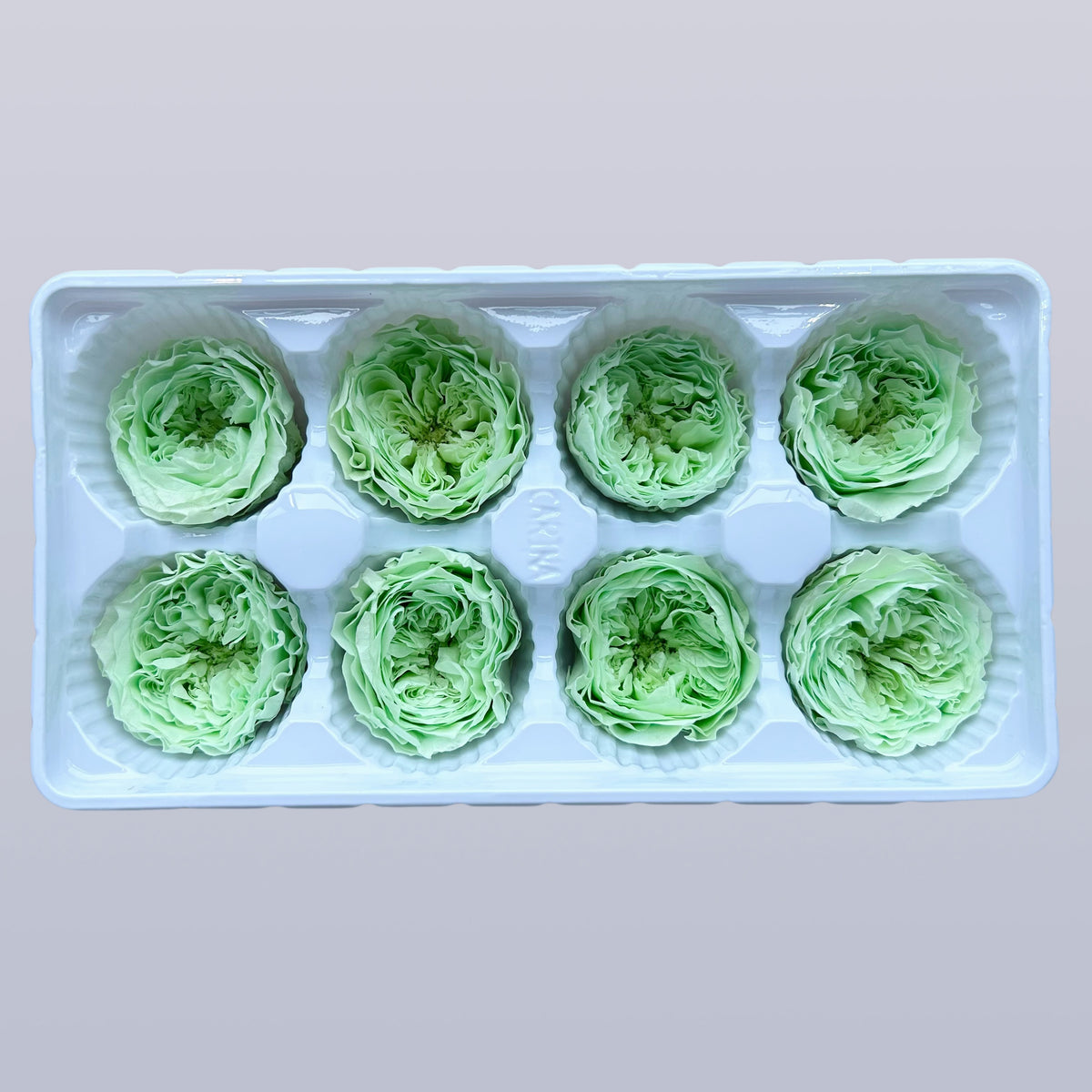 Everlasting Austin Roses™ | Preserved Heirloom Floral Collection
