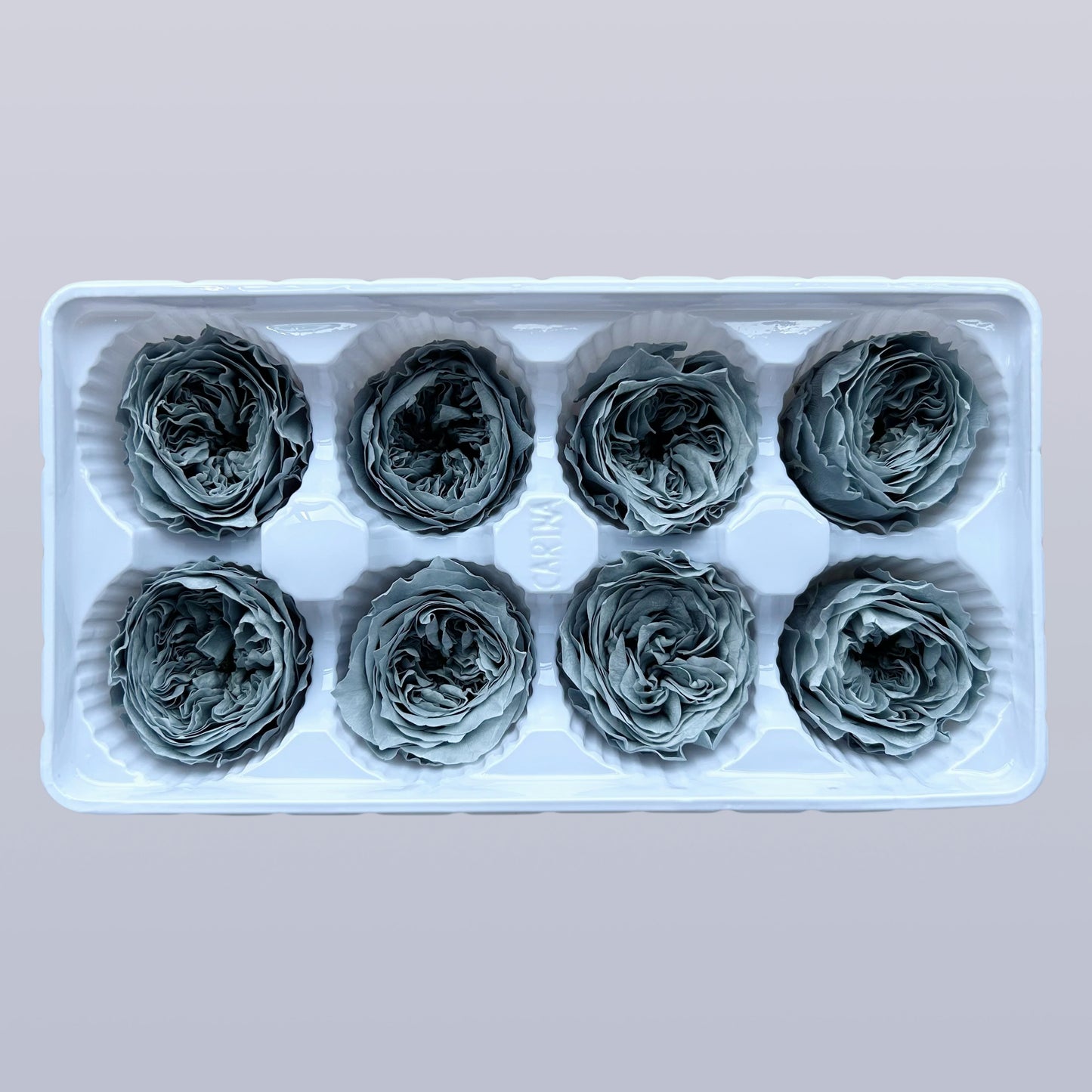 Everlasting Austin Roses™ | Preserved Heirloom Floral Collection