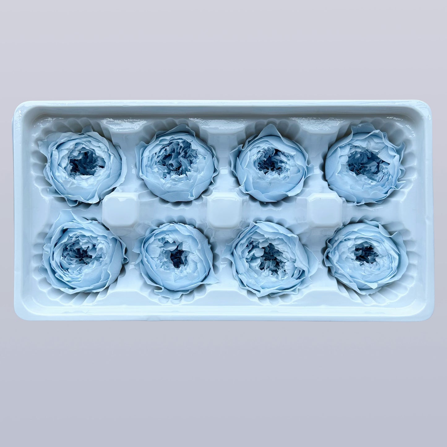 Everlasting Austin Roses™ | Preserved Heirloom Floral Collection