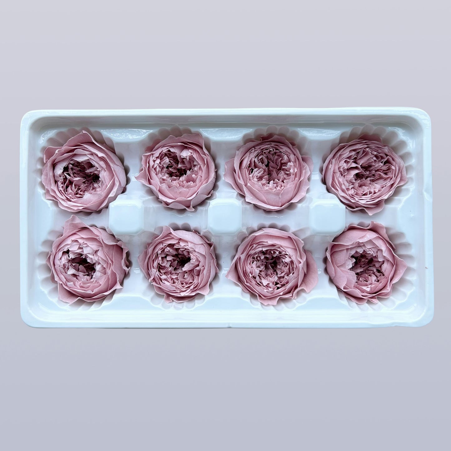 Everlasting Austin Roses™ | Preserved Heirloom Floral Collection