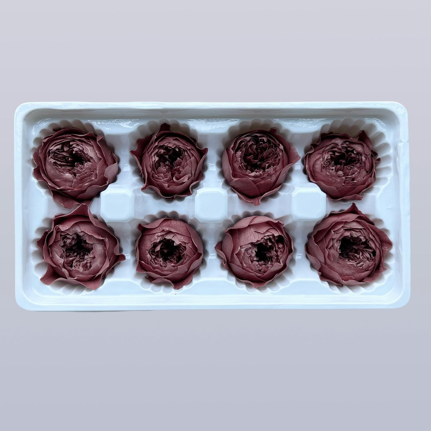 Everlasting Austin Roses™ | Preserved Heirloom Floral Collection