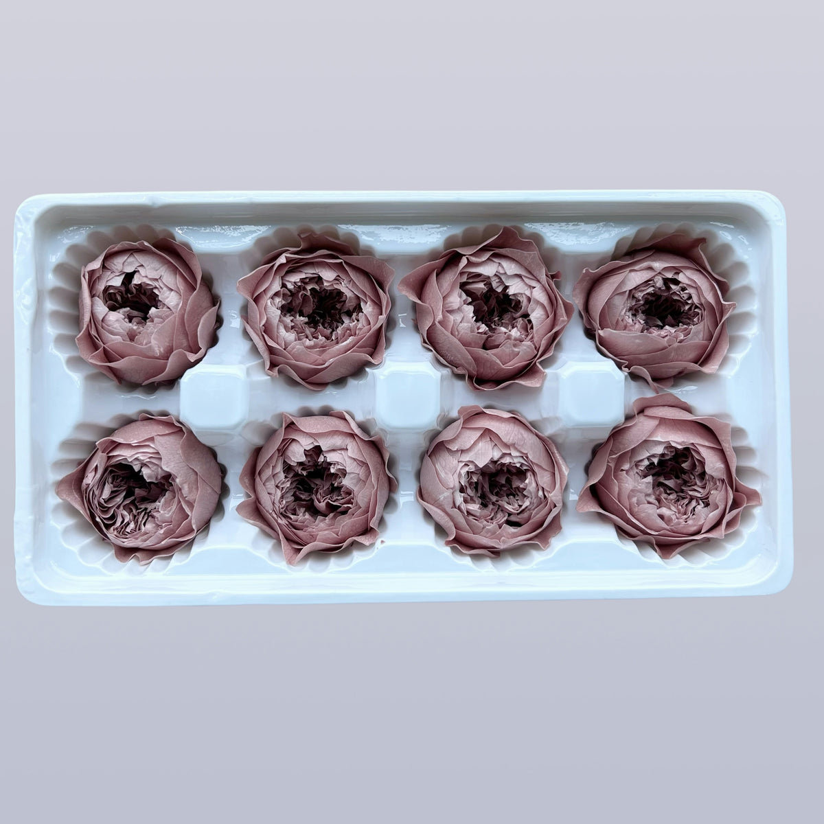Everlasting Austin Roses™ | Preserved Heirloom Floral Collection