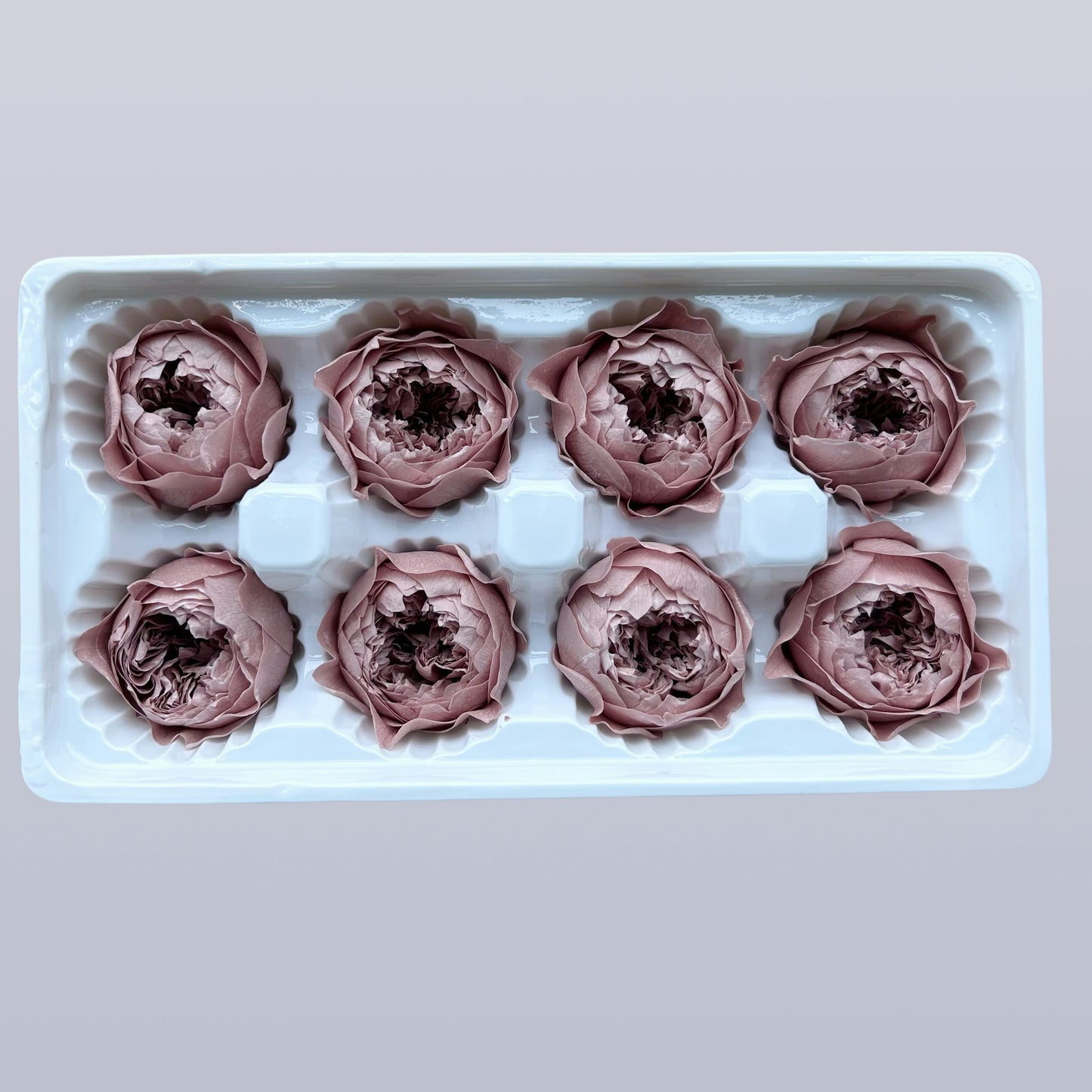 Everlasting Austin Roses™ | Preserved Heirloom Floral Collection