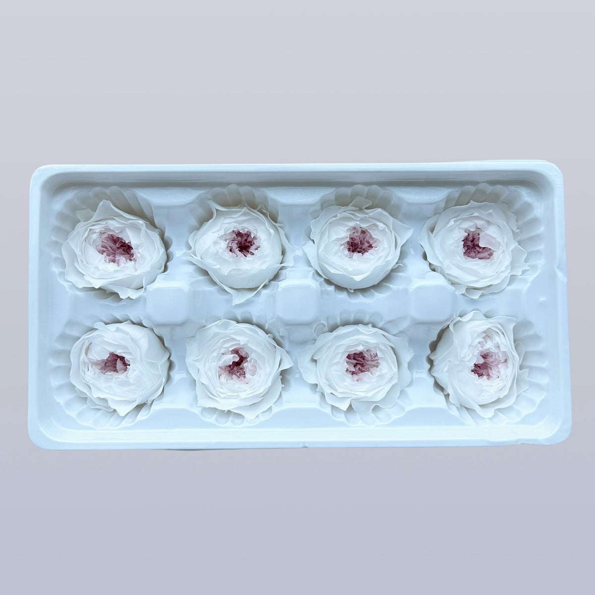 Everlasting Austin Roses™ | Preserved Heirloom Floral Collection