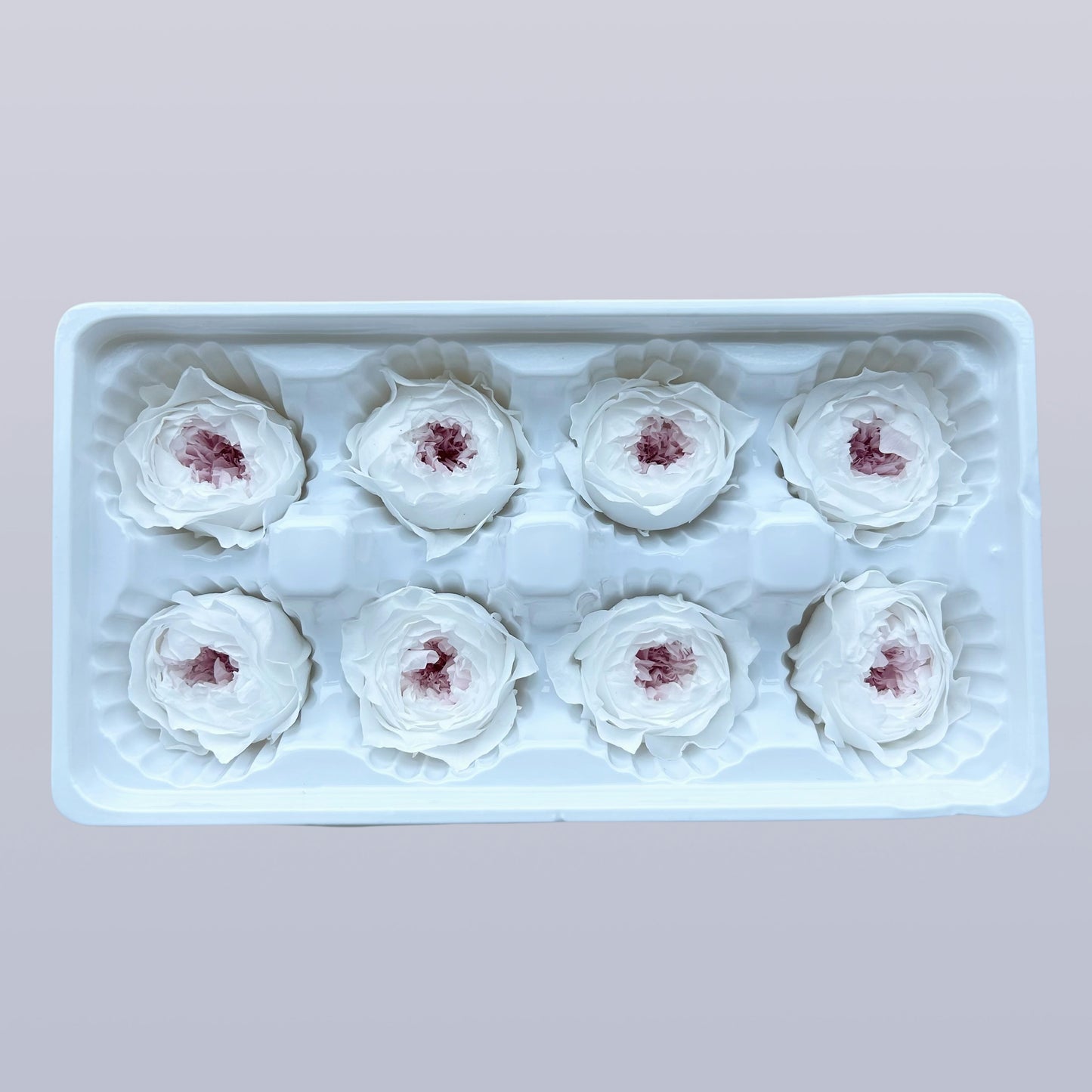 Everlasting Austin Roses™ | Preserved Heirloom Floral Collection