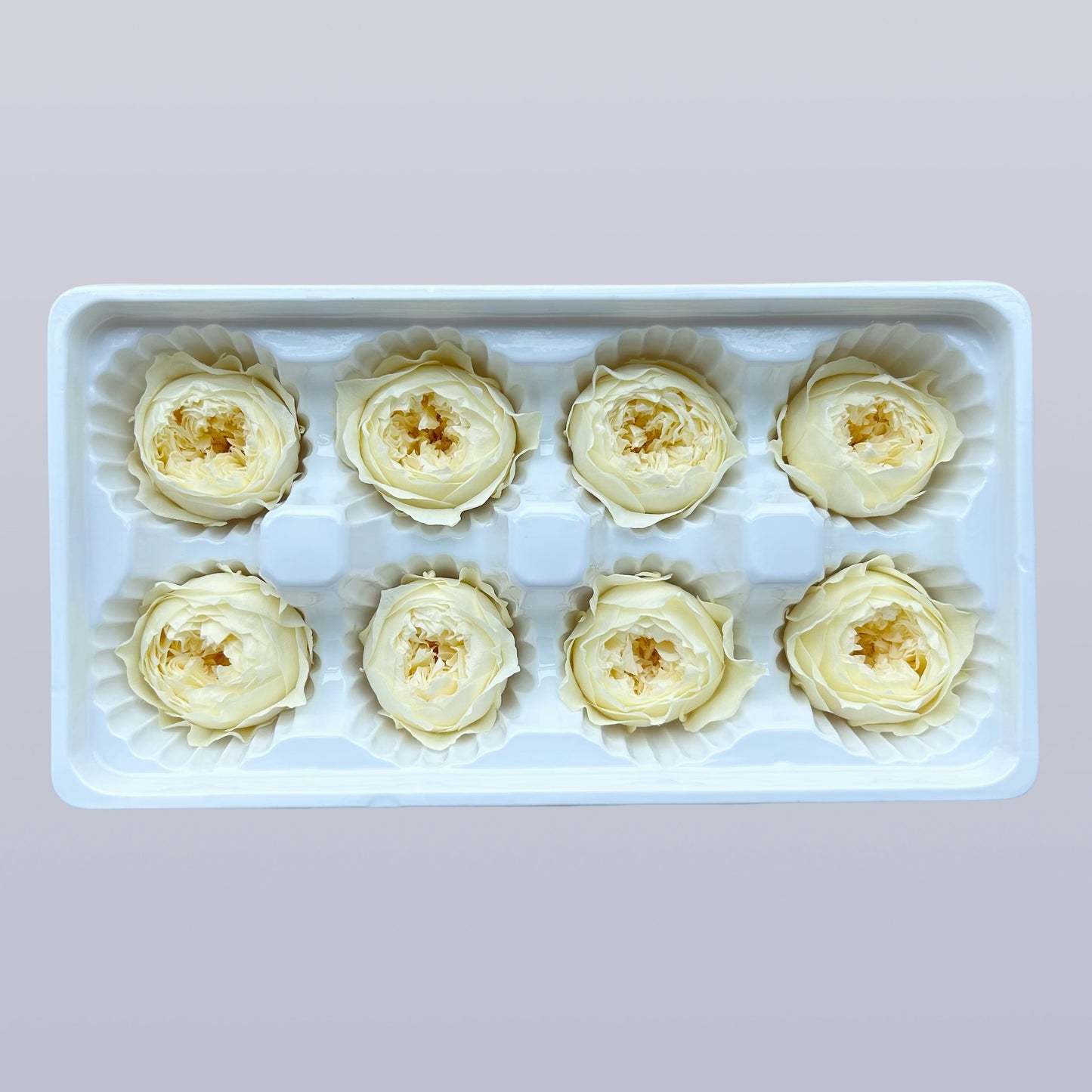 Everlasting Austin Roses™ | Preserved Heirloom Floral Collection