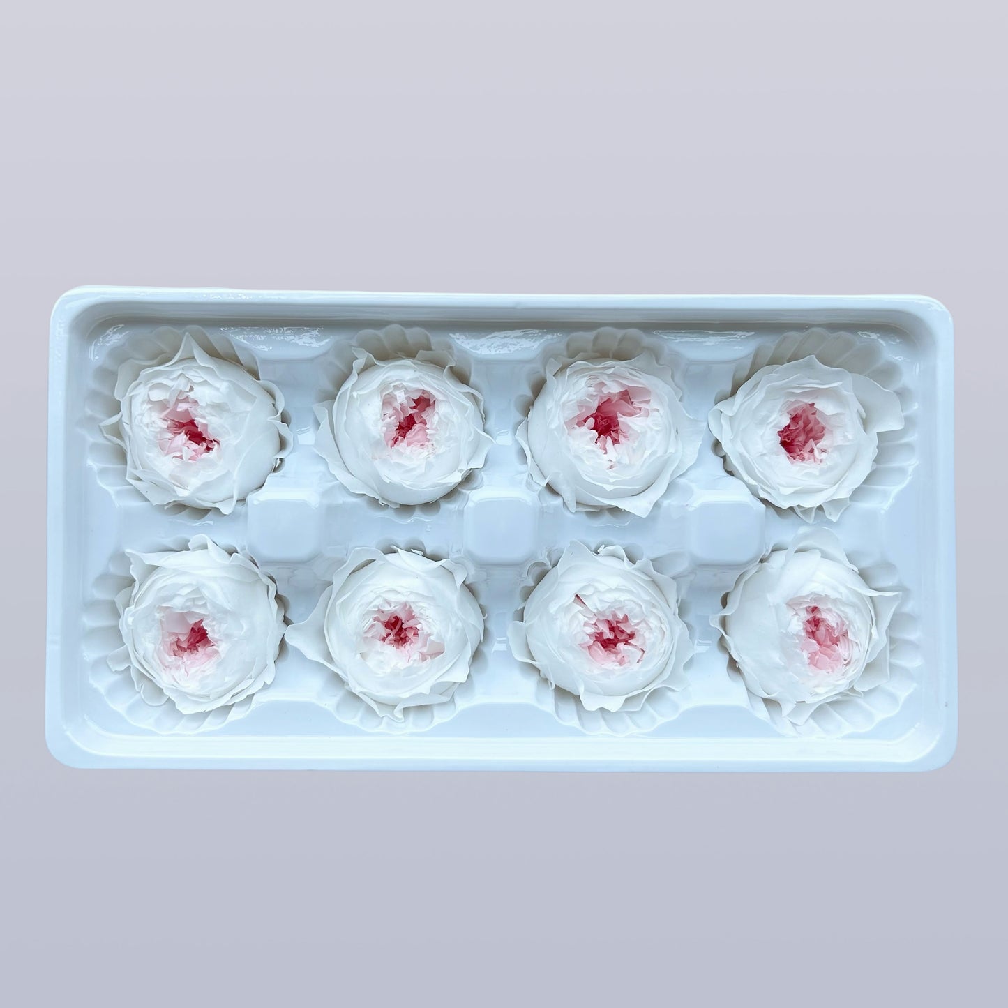 Everlasting Austin Roses™ | Preserved Heirloom Floral Collection