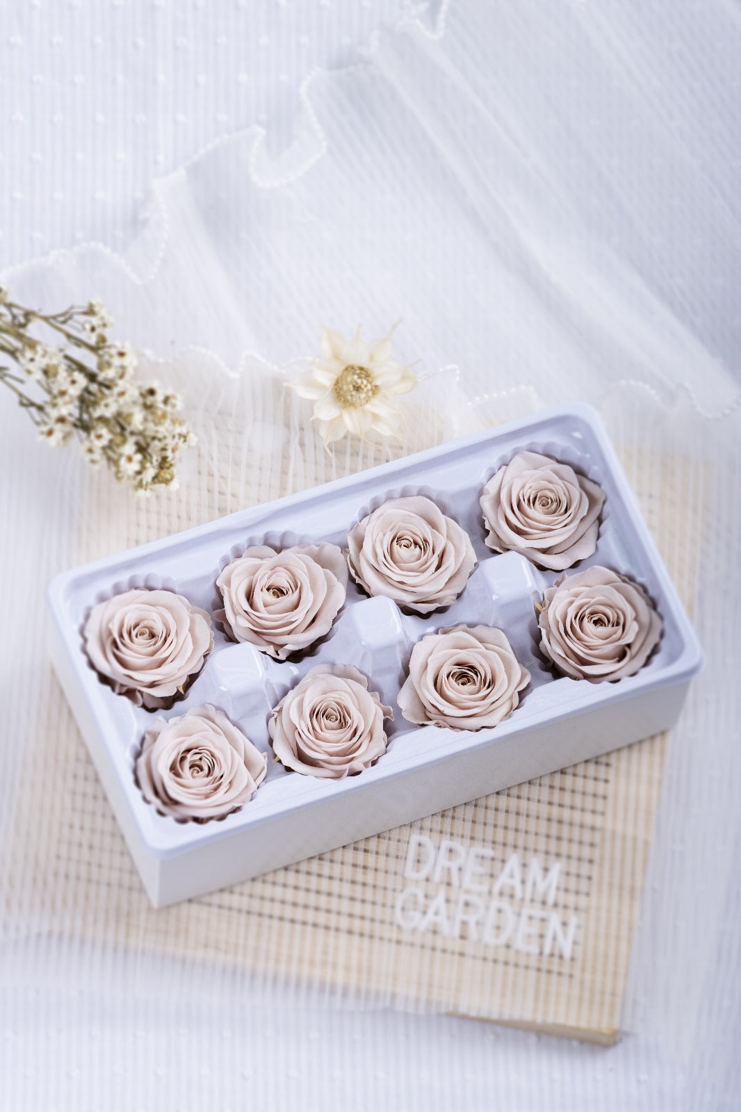 Rose 8 Pcs