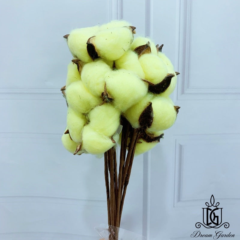 Cotton Flowers