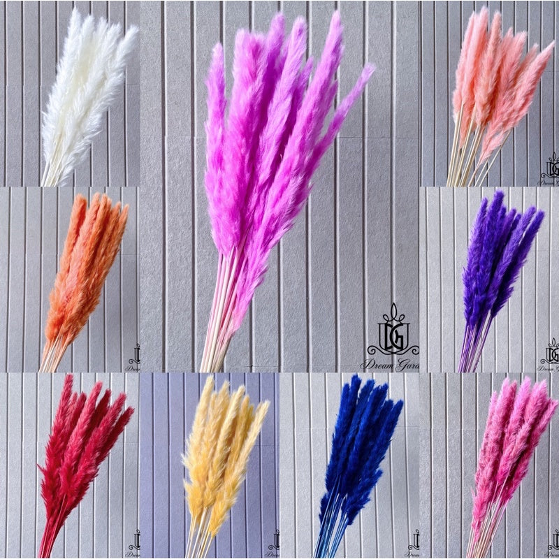 Dried Flower Preserved preserved flower Dried bleach | DreamGarden SG