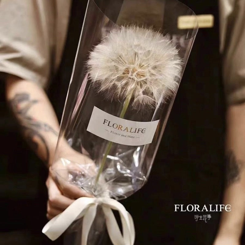 Preserved Giant Dandelion
