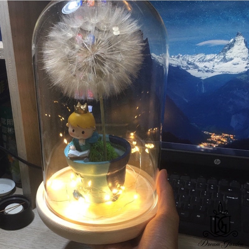Preserved Giant Dandelion